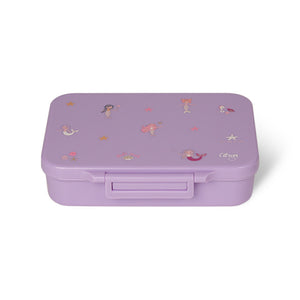 Tritan Lunchbox