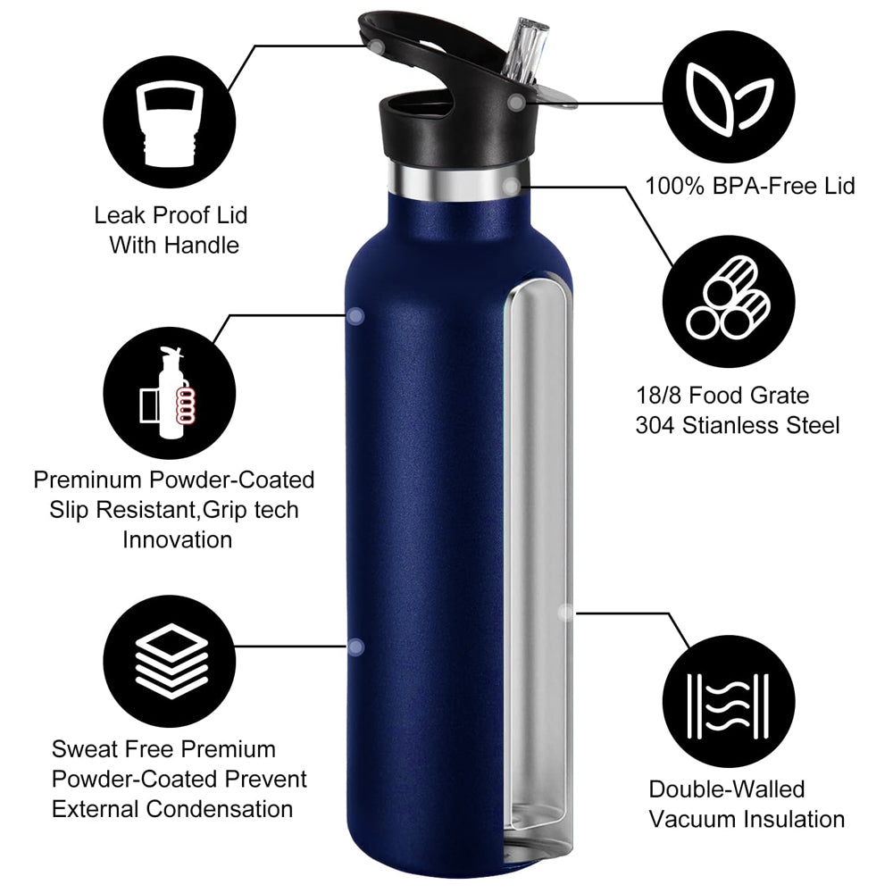 Star Babies - Stainless Steel Water Bottle - Dino - 500ml