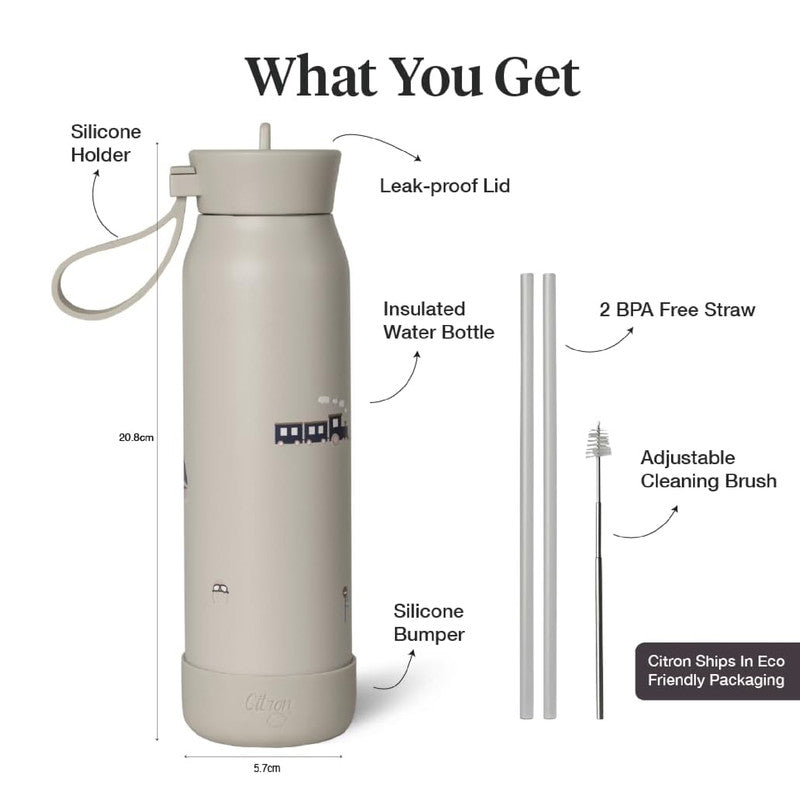 Small Water Bottle - 350ml - Vehicles