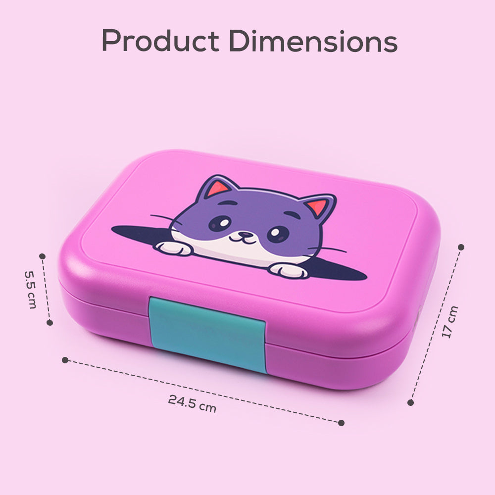 Cocobee Bento Lunch Box – Pink, 765ml, BPA-Free, Leakproof with Silicone Seal & Removable Tray + Disney Princess Doodle Drawing Board
